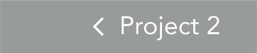 Project 2