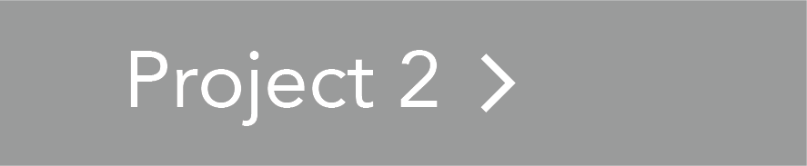 Project 2