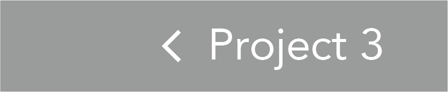 Project 3